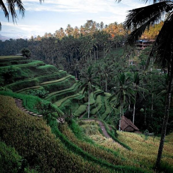 Discover the Magic Heart of Indonesia