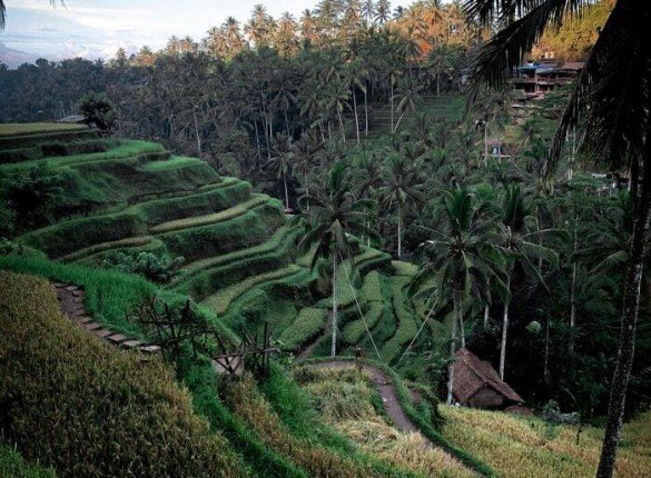 Discover the Magic Heart of Indonesia